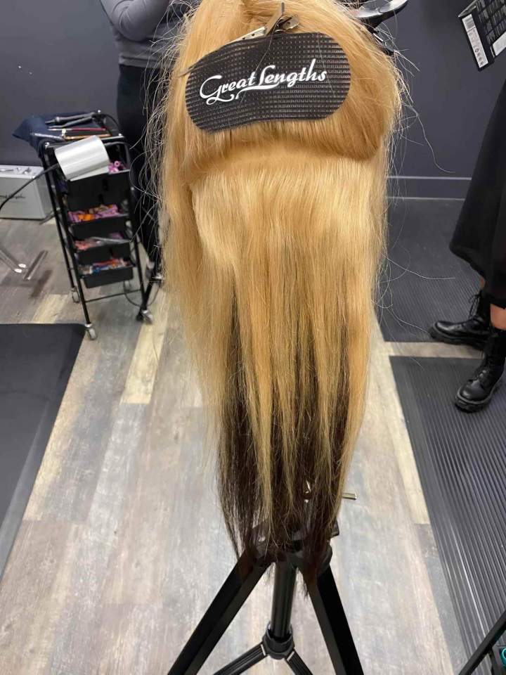 Hair Prosthesis Fitting Laval